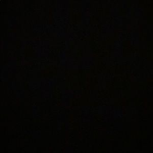 Meet your Posher, Riley